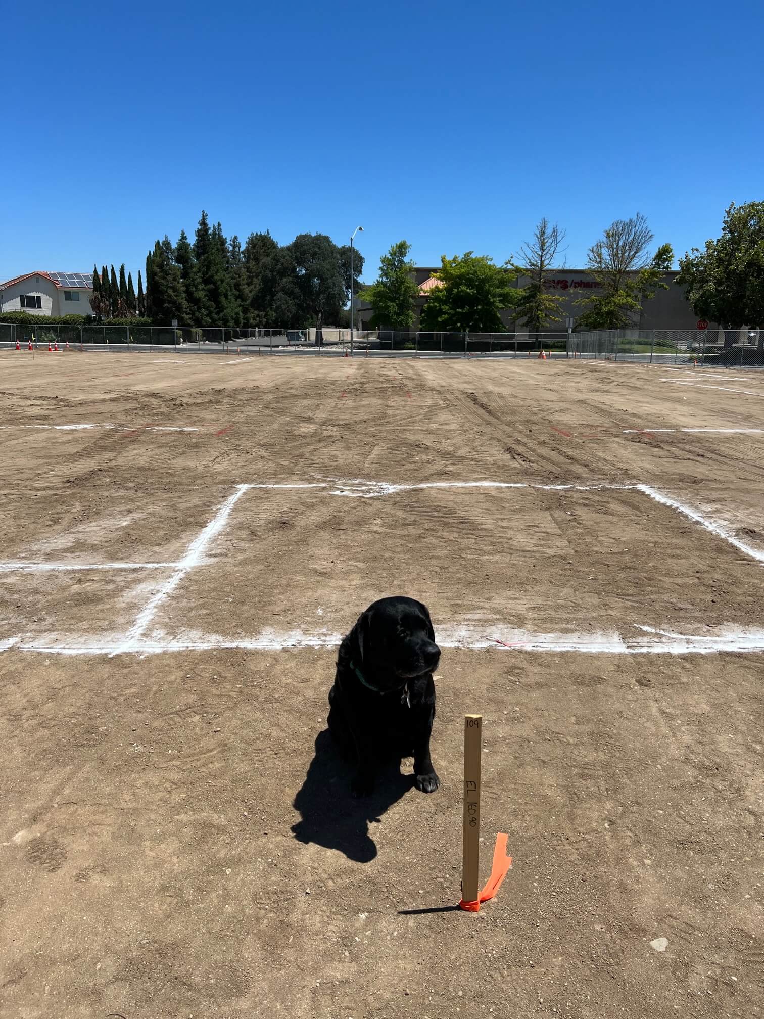 Mowgli surveys the new OVG Hospital Layout