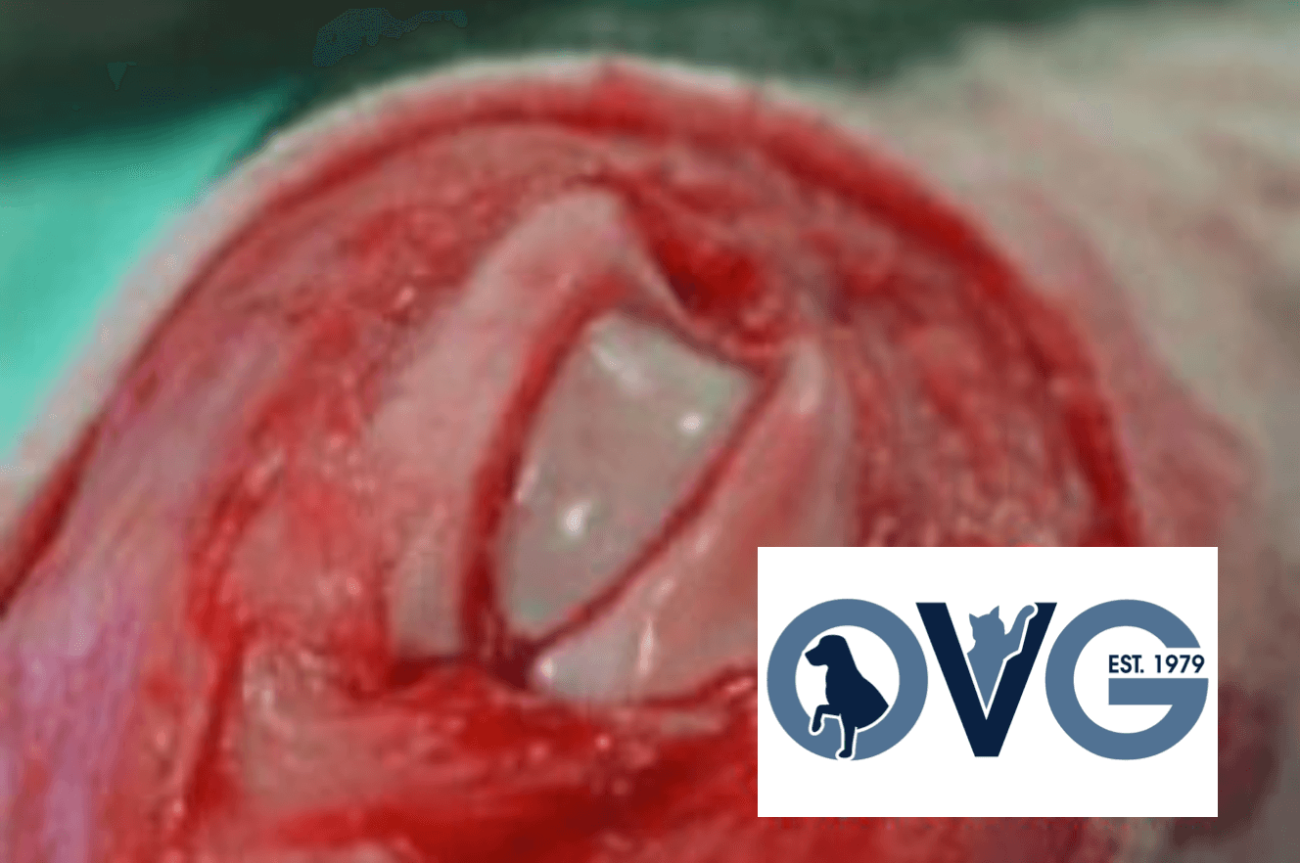 'Recession Sulcoplasty’ procedure for the management of patellar luxation