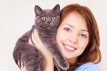 pet doctor pet doctor